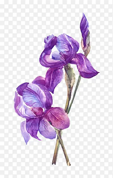 紫色水粉手绘花朵