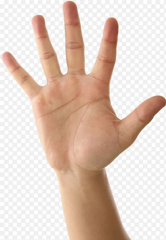 右手手掌伸开PNG图片素材下载_图片编号qlwdbjdy-免抠素材网