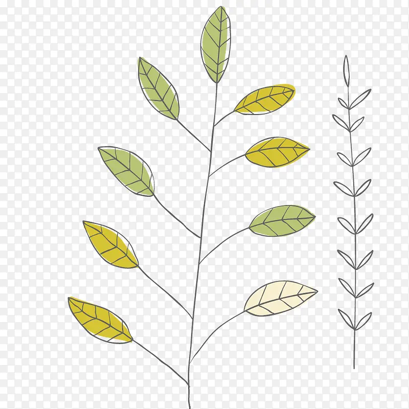 手绘花草