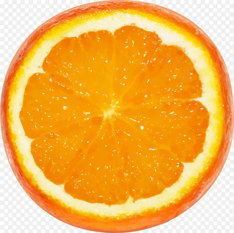 手绘黄色橙子