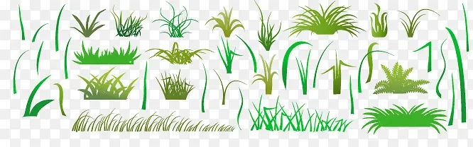 矢量各种小草