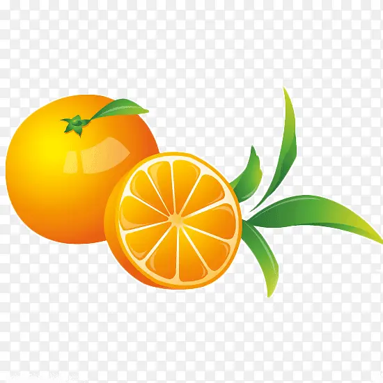 手绘水果橙子切面