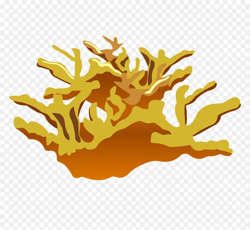 黄色珊瑚礁