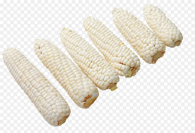 新品种白色玉米棒