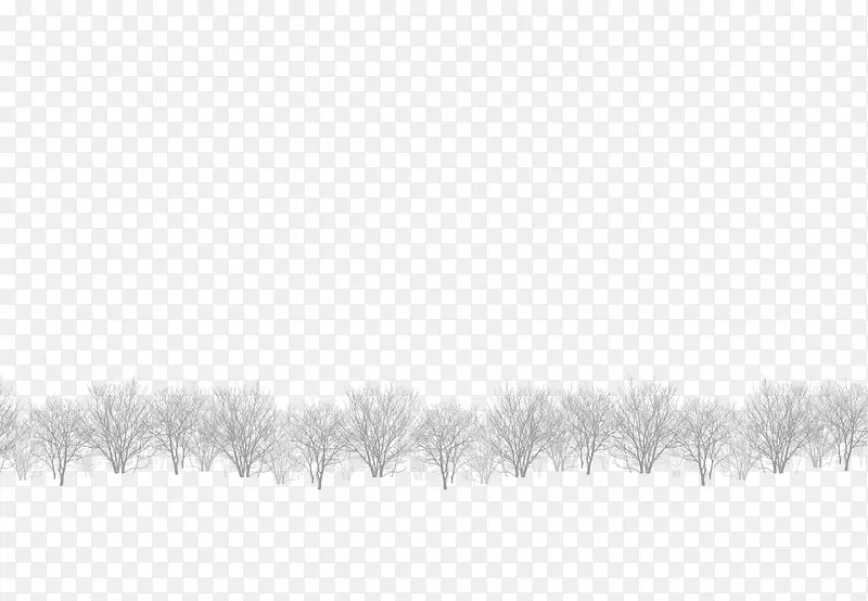 冬日白茫茫的森林