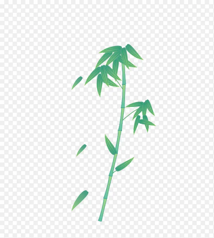 一颗竹子