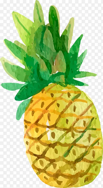彩色可爱菠萝设计图