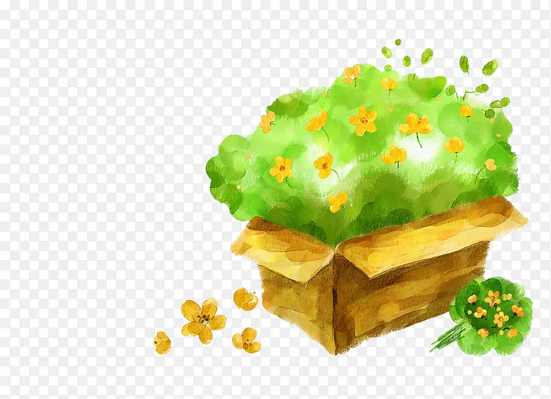 纸盒里的花草PNG图片素材下载_图片编号ygpvbdxq-免抠素材网