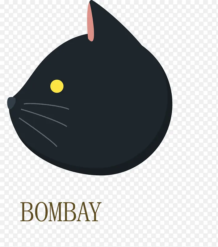 侧面的猫