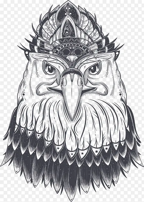 素描手绘老鹰头像