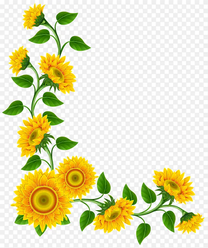 黄色的小雏菊花纹设计背景