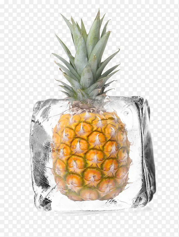 冰块里的菠萝