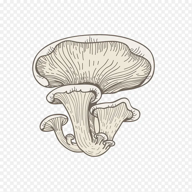 卡通手绘小清新的蘑菇PNG