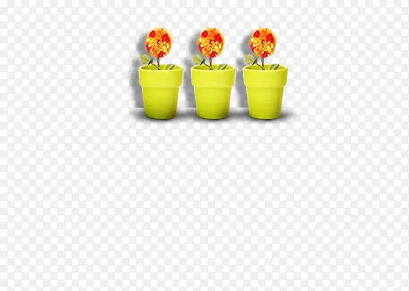 3个黄色花盆的花朵，盆栽，太阳