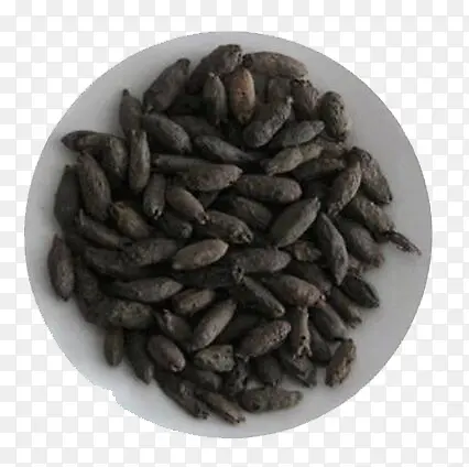 白色盘子里的丁香俯视图