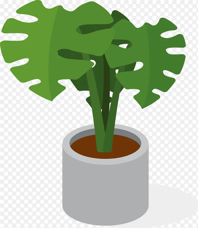 一盆绿色植物盆栽