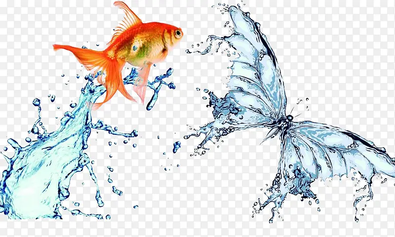 水波蝴蝶