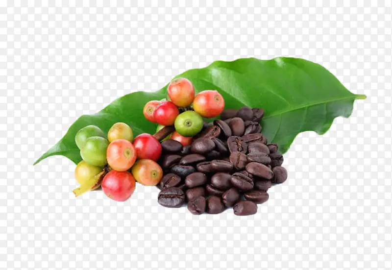 红色咖啡果和咖啡豆在叶子上