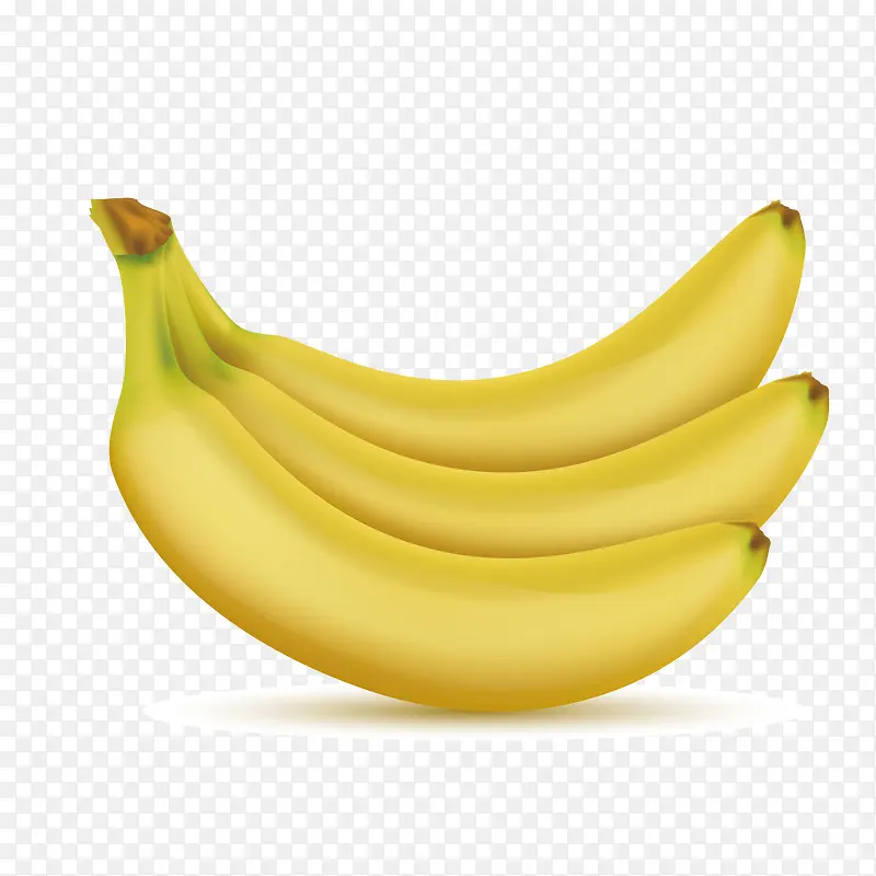 矢量一串香蕉下载