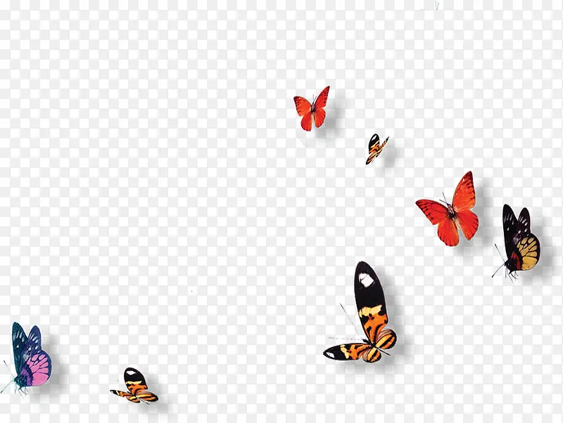 一群合成飞舞的花蝴蝶