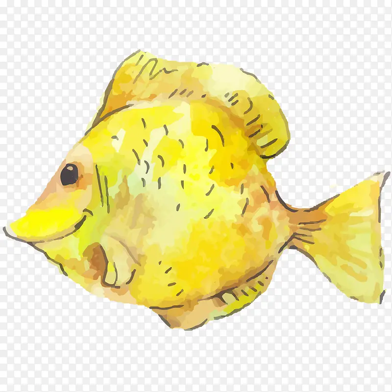 黄色鱼儿水彩插画