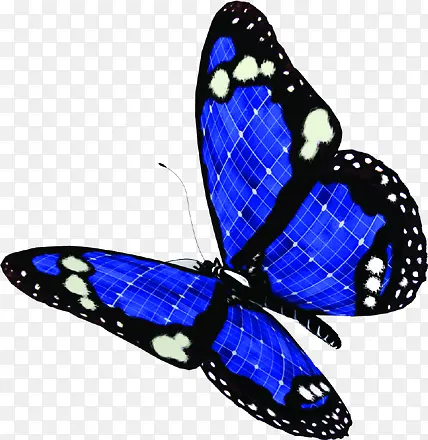 蓝色唯美手绘蝴蝶设计节日