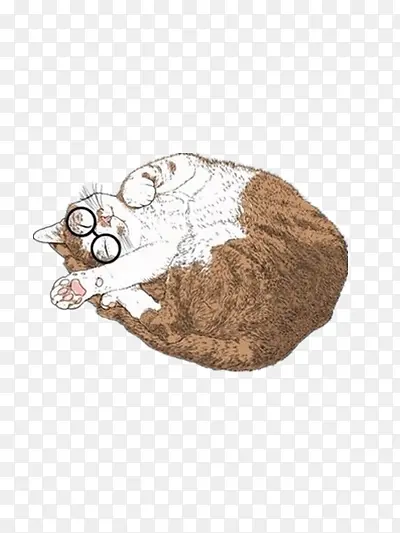 猫咪