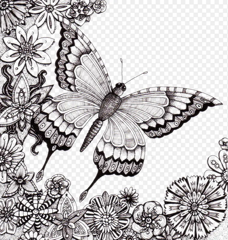 精致的手绘蝴蝶