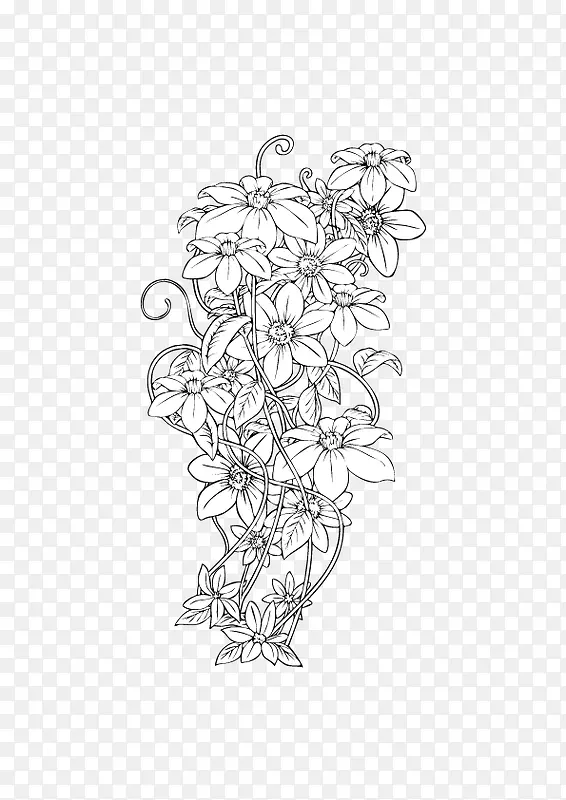 手绘线描花朵