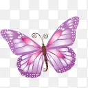紫色蝴蝶图标