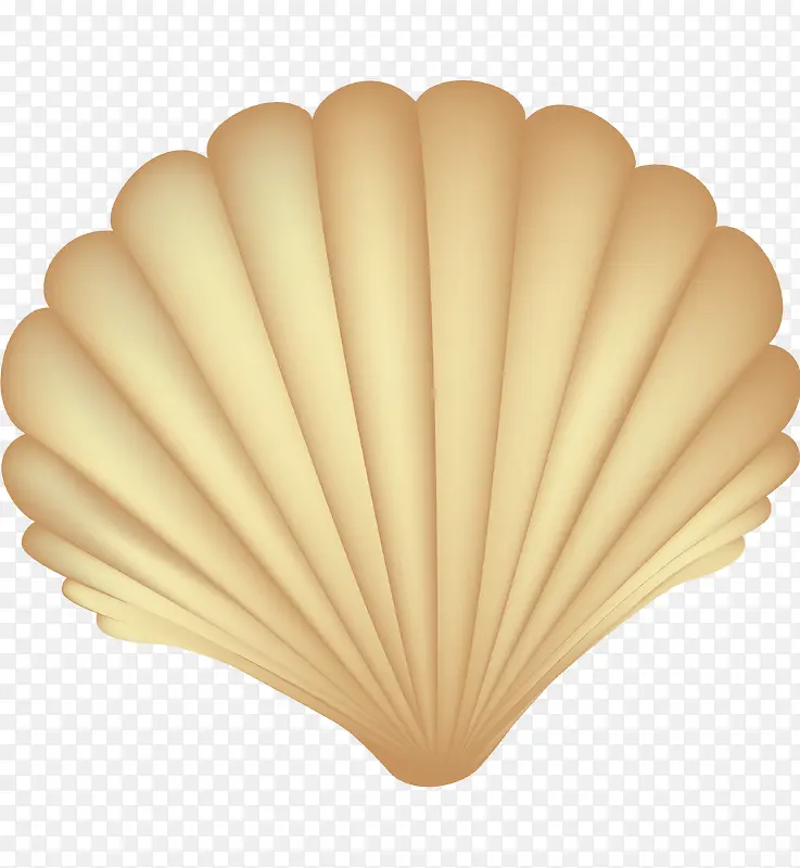 卡通精美贝壳