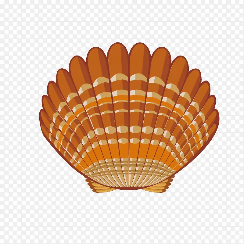 卡通手绘精美的贝壳