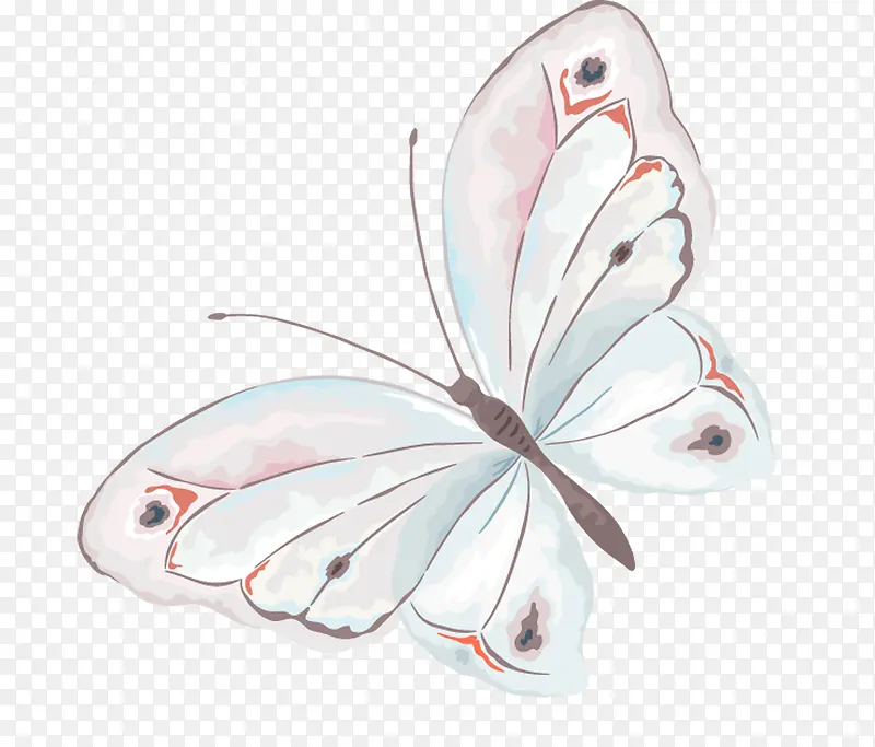 手绘的蝴蝶