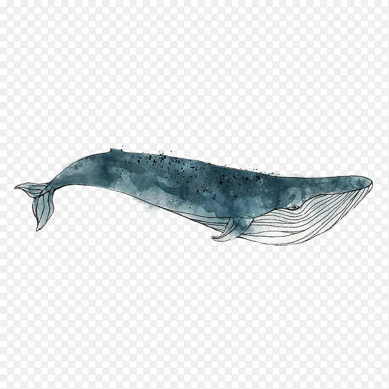 手绘一只蓝色水彩座头鲸宣传海报