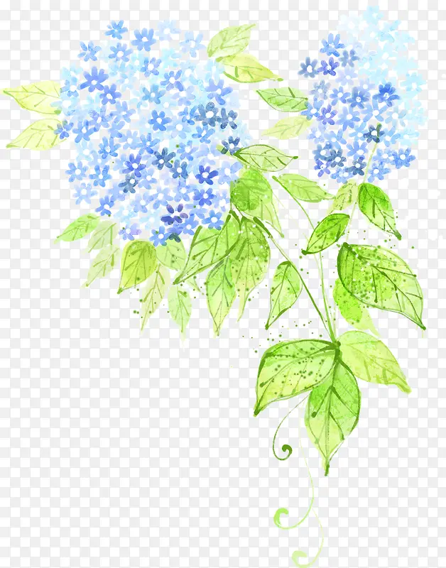 彩绘蓝色小花