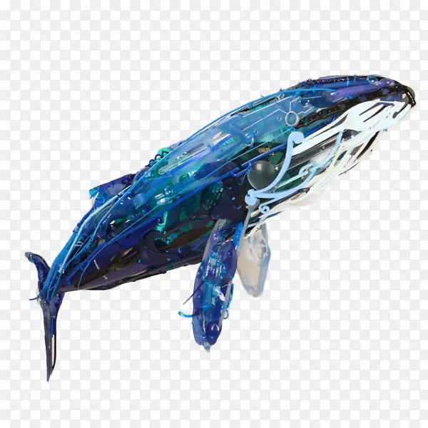 手绘一只蓝色线条座头鲸插画设计