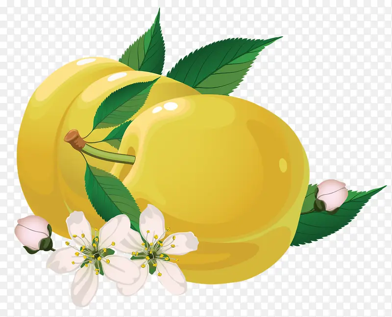水果香梨