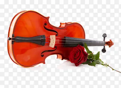 木质提琴