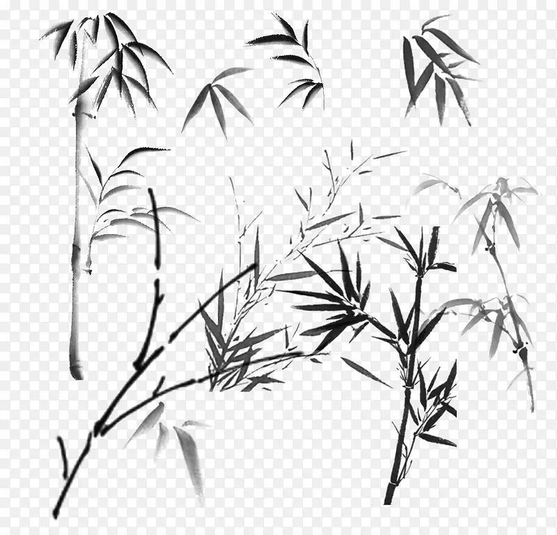 竹子素描竹子图标 竹子 竹叶