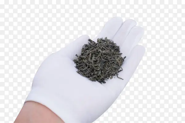 手带白手套拿着绿茶叶