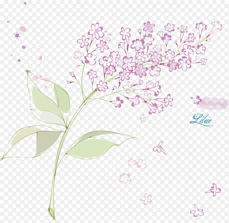 紫色手绘花卉