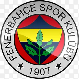 费内巴切SK土耳其足球俱乐部的