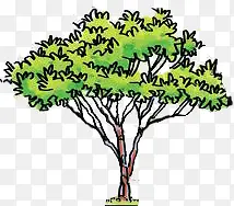 手绘绿色挺拔的大树