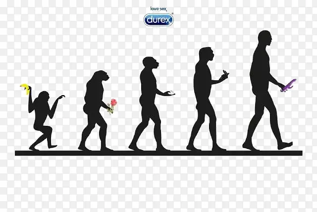 杜蕾斯猿人进化过程
