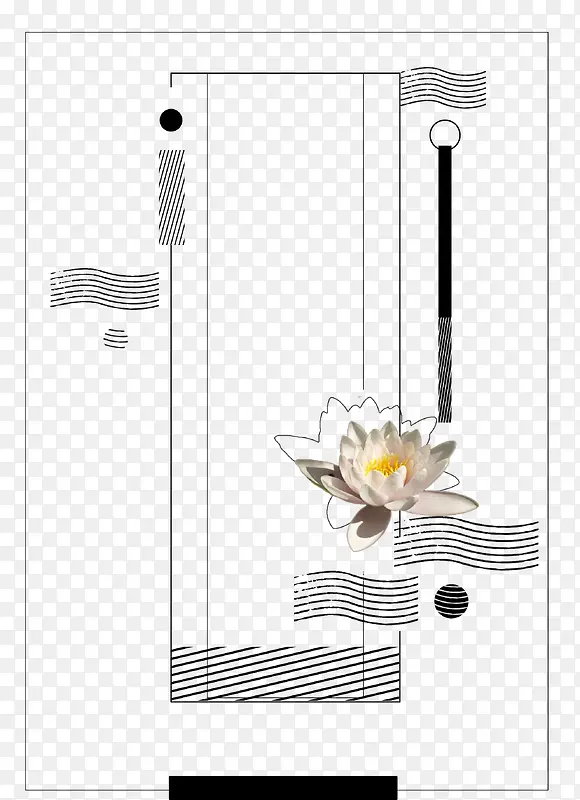 素描花卉门