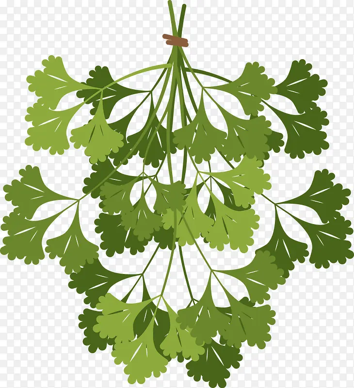 绿色清新植物装饰PNG图片素材下载_图片编号qalxpvny-免抠素材网