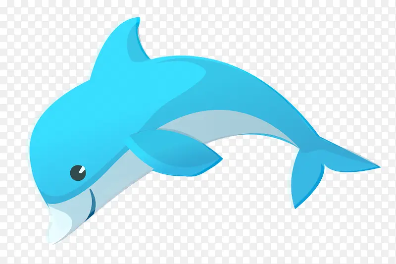 小海豚游泳世锦赛