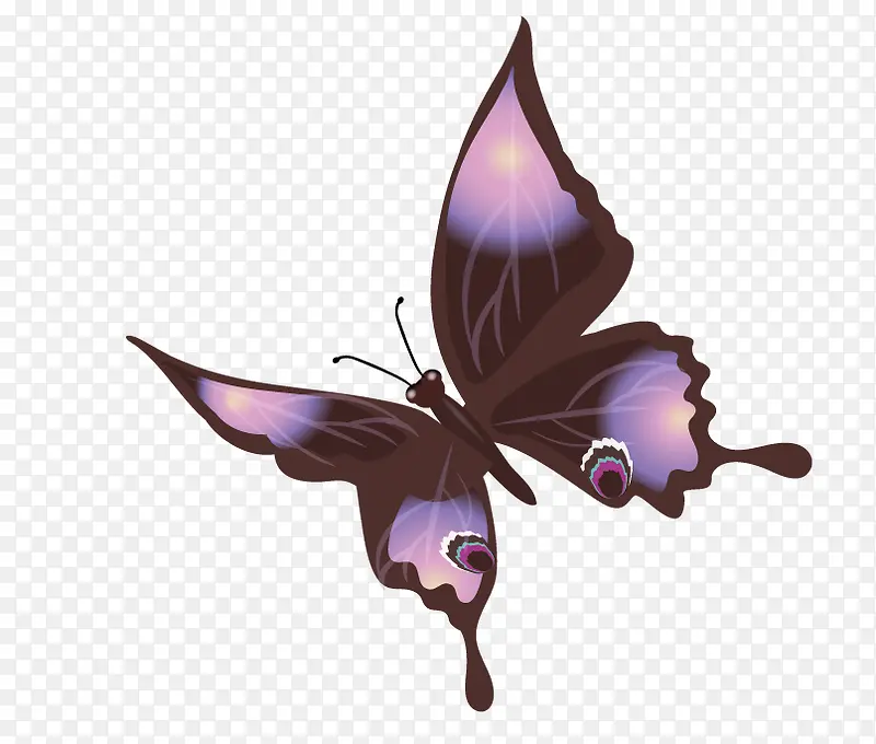 矢量黑紫色蝴蝶