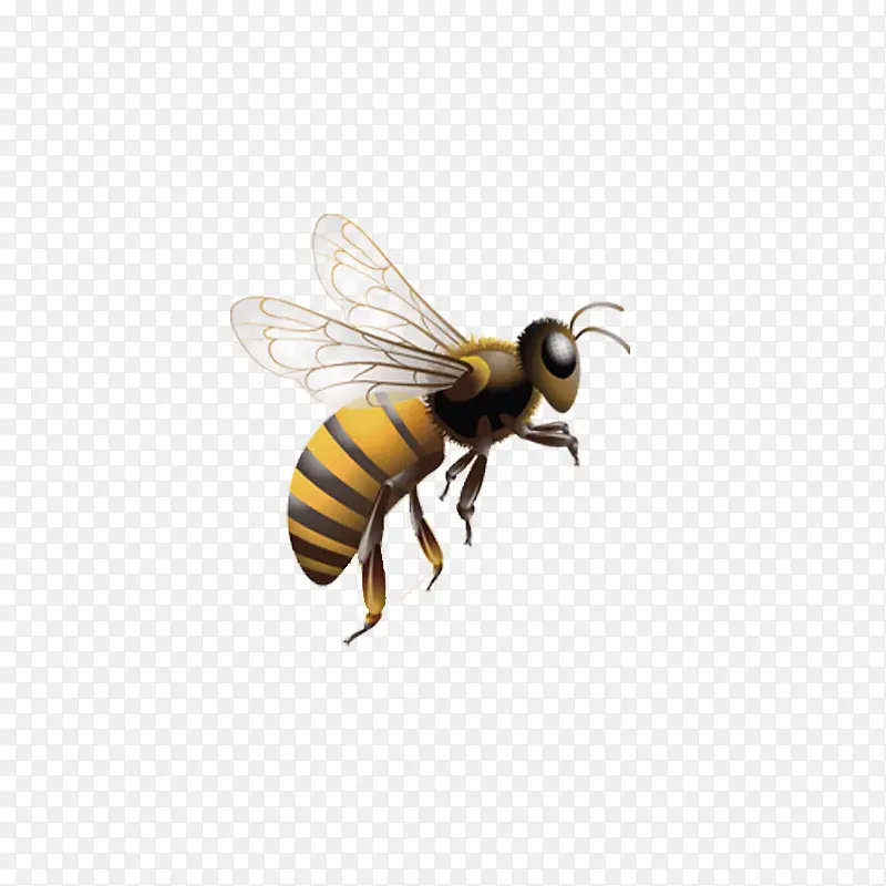 空中的蜜蜂
