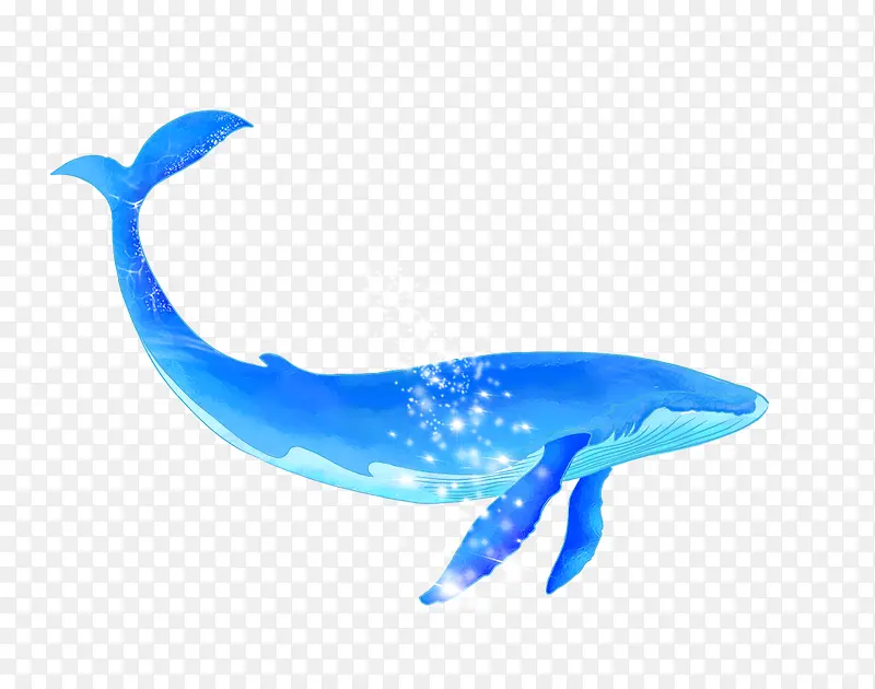 世界海洋日海洋生物海中的鲸鱼插